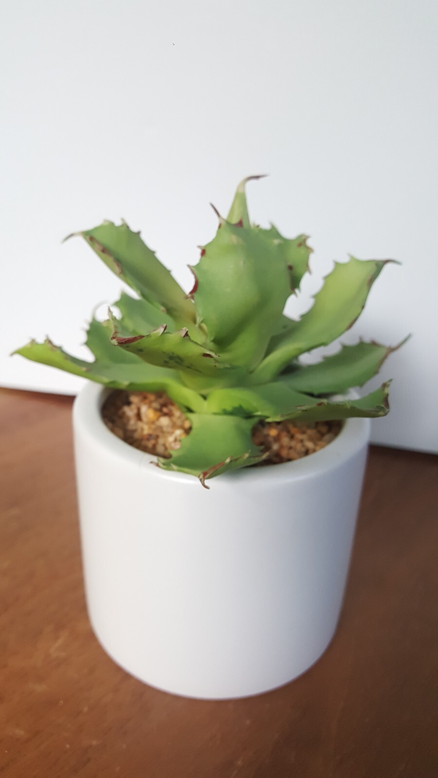 Artificial Succulant Potted Matte White Cylinder Pottery Planter