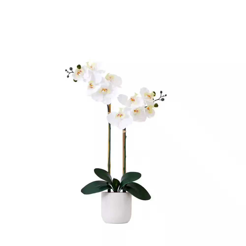 26 In. White Artificial Double Orchid Phalaenopsis Floral Arrangement with Decor
