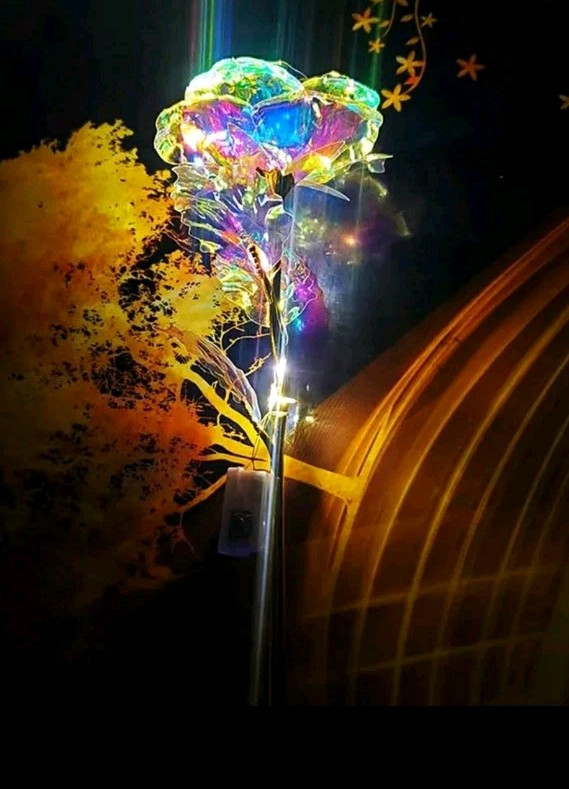 Galaxy Light Up 24k Gold Foil ROSE