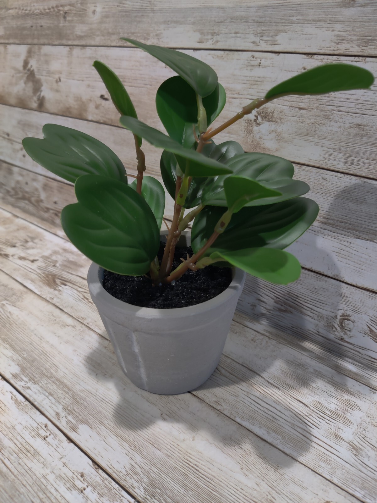 Faux Hoya Heart Potted Plant from Hearth and Hand with Magnolia *4 Pack* 7″ Mini