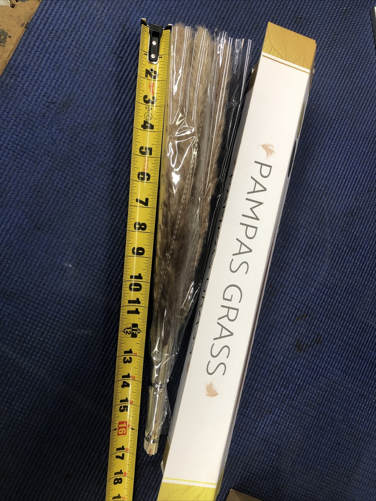 CB2- Natural Dried Pampas Grass- – 17-1/2” Tall apx 20 Pcs
