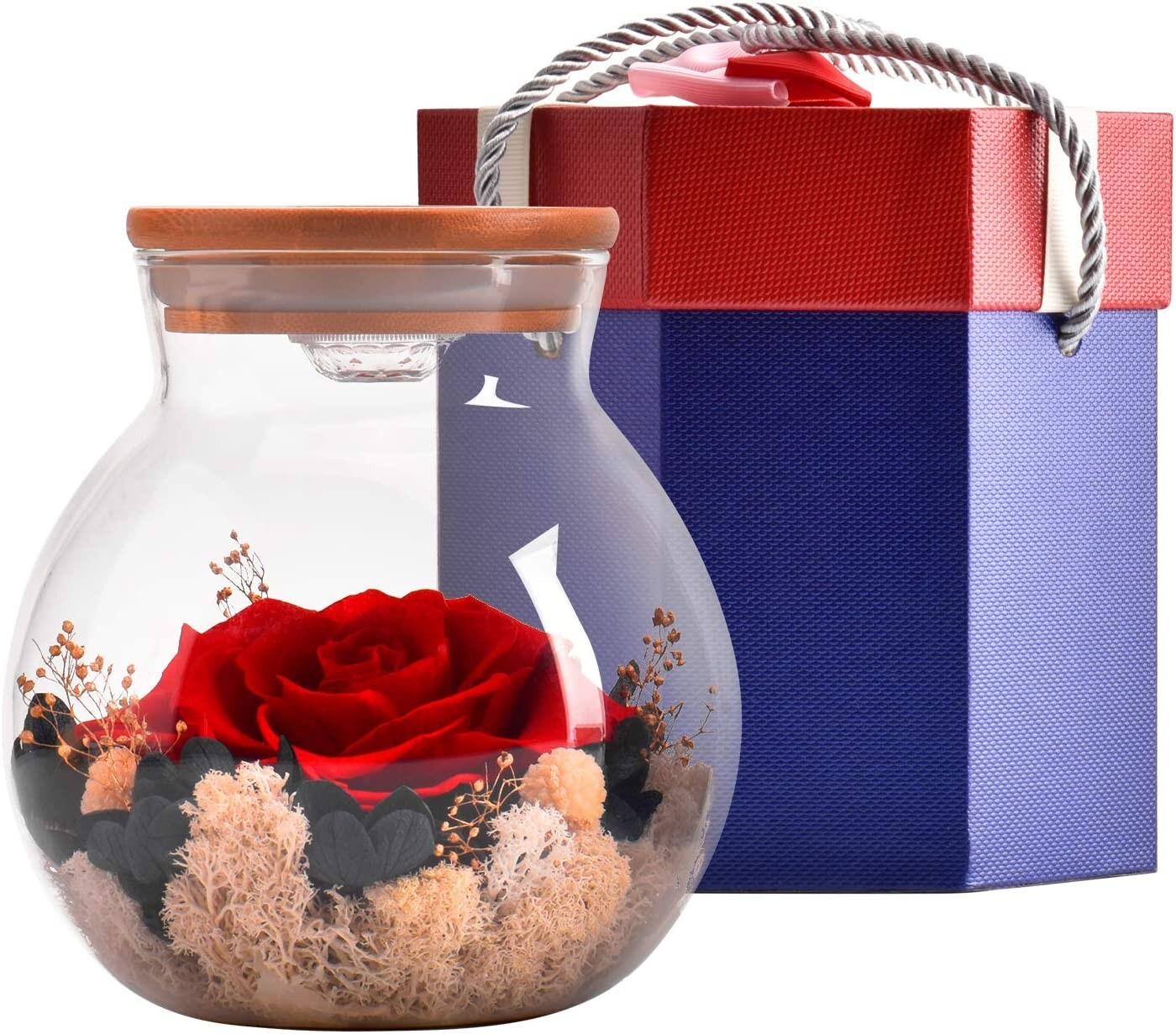 Preserved Real Rose Eternal Rose Flowers with Led Mood Light Forever Romantic