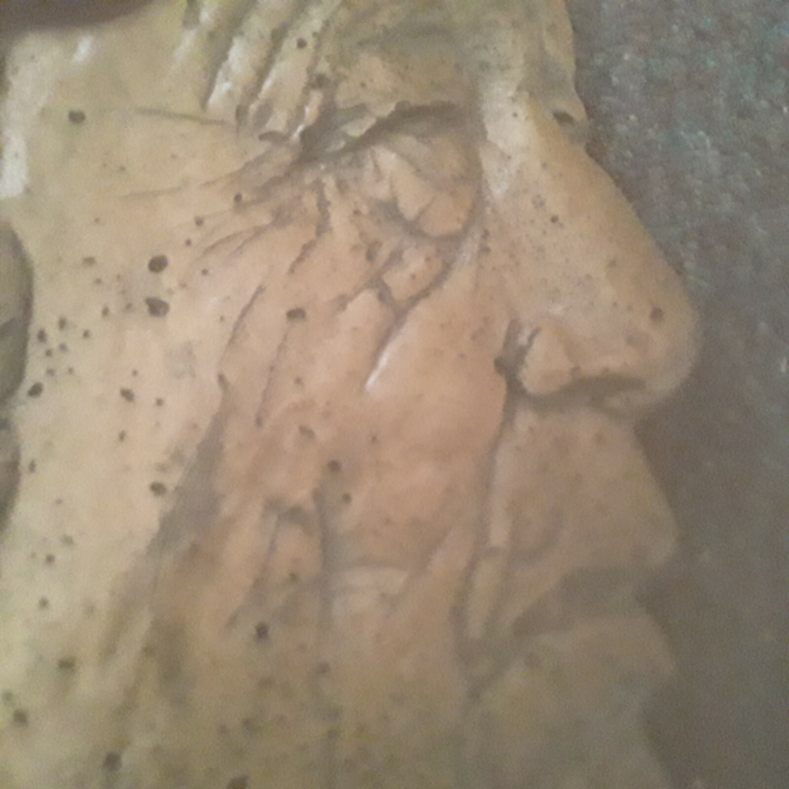Home Decor Indian Heads $25/each both for $40.00