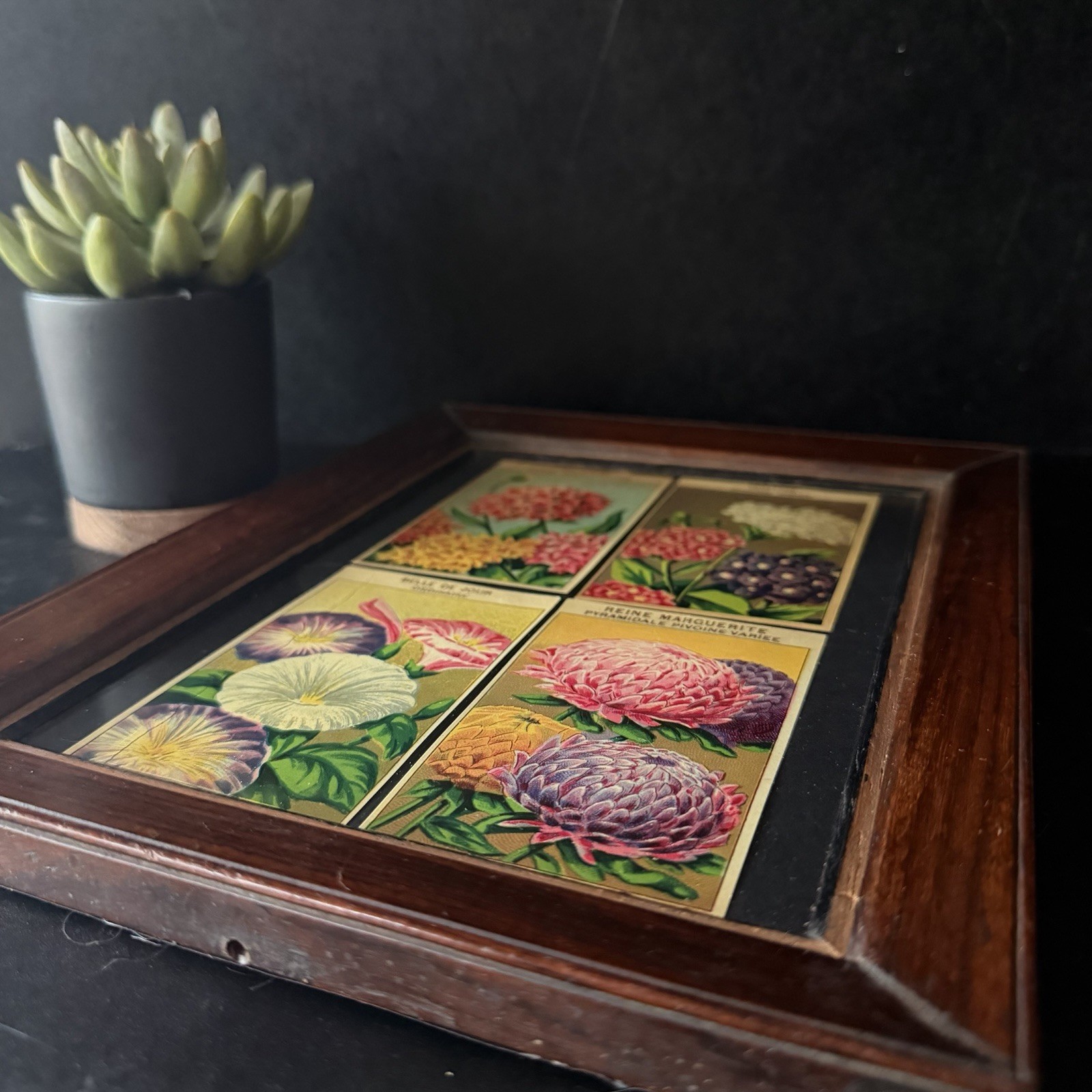 Vintage French Seed Packet Labels Framed Botanical Wall Art Wood Frame