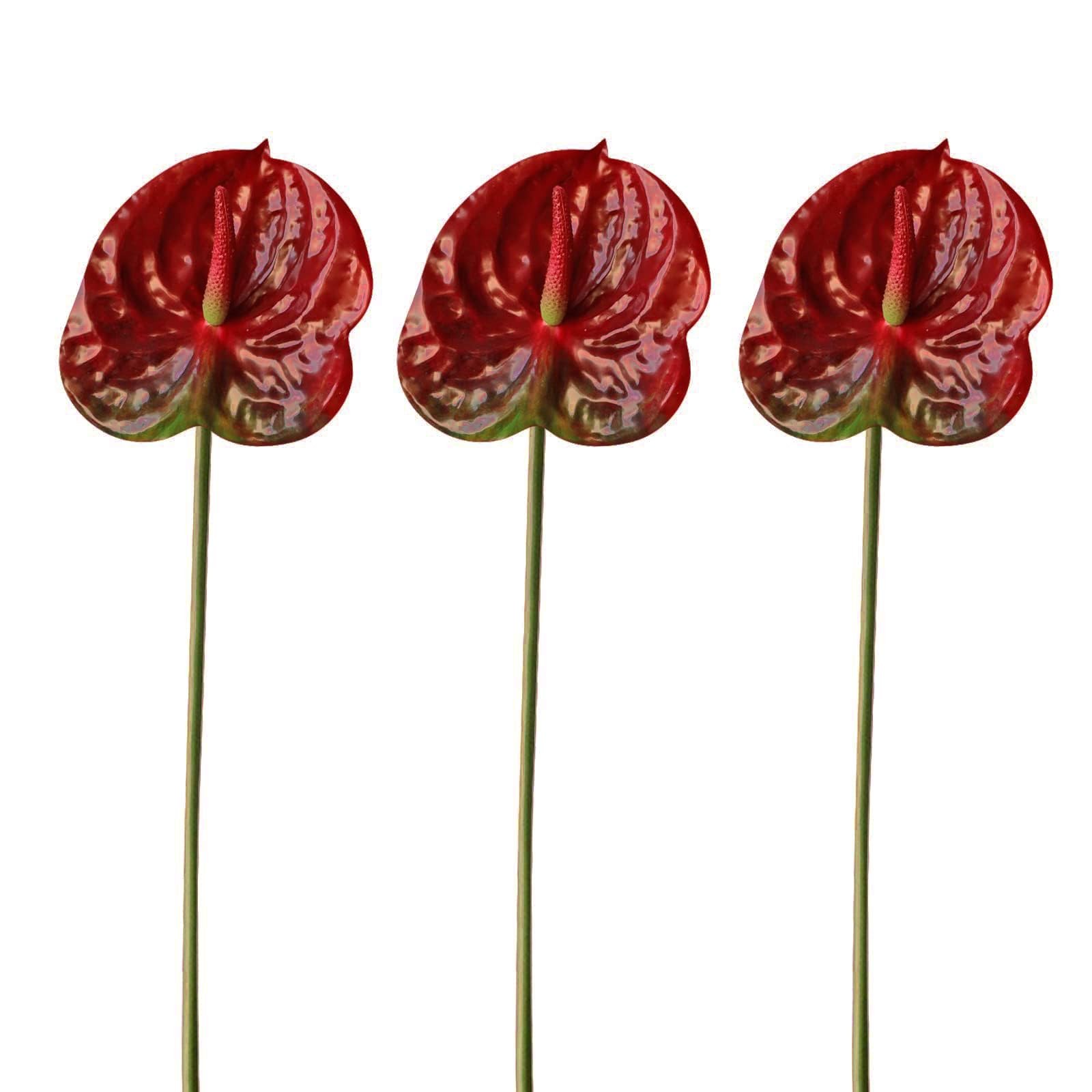 3 PCS Artificial Anthurium Lily Flowers 22″ Red Fake Tropical Bouquet Wedding