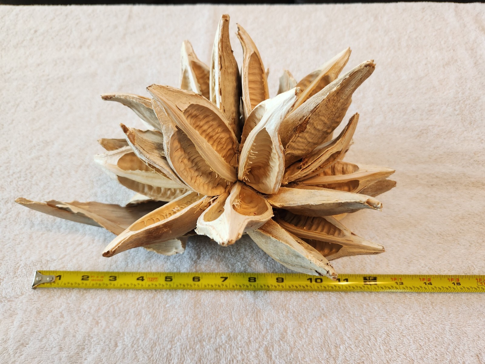 Vickerman Home Decor Star pod 12-16″, Extra Large