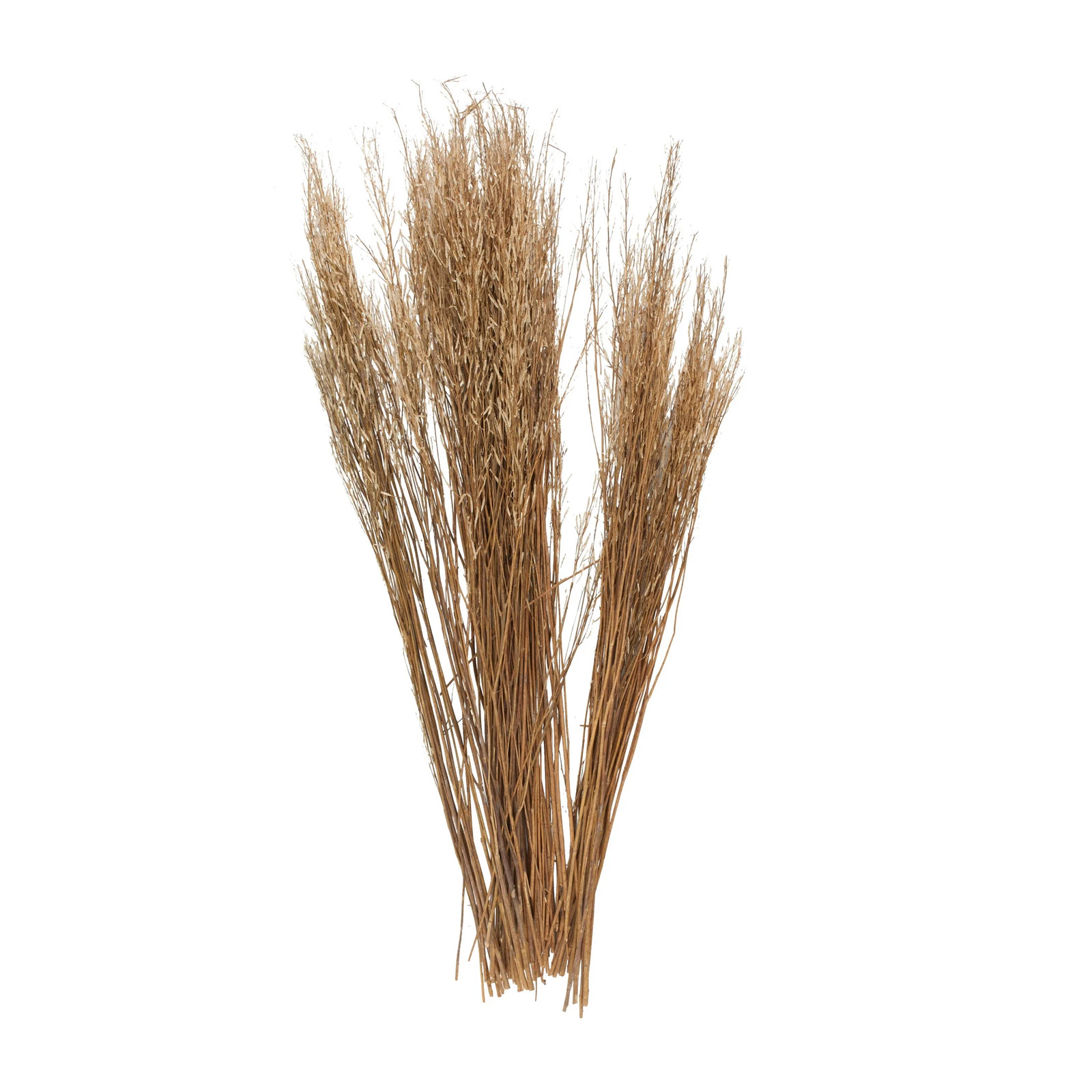 42″ Tall Sticks Dried Plant Natural Foliage Bouquet with Grass,