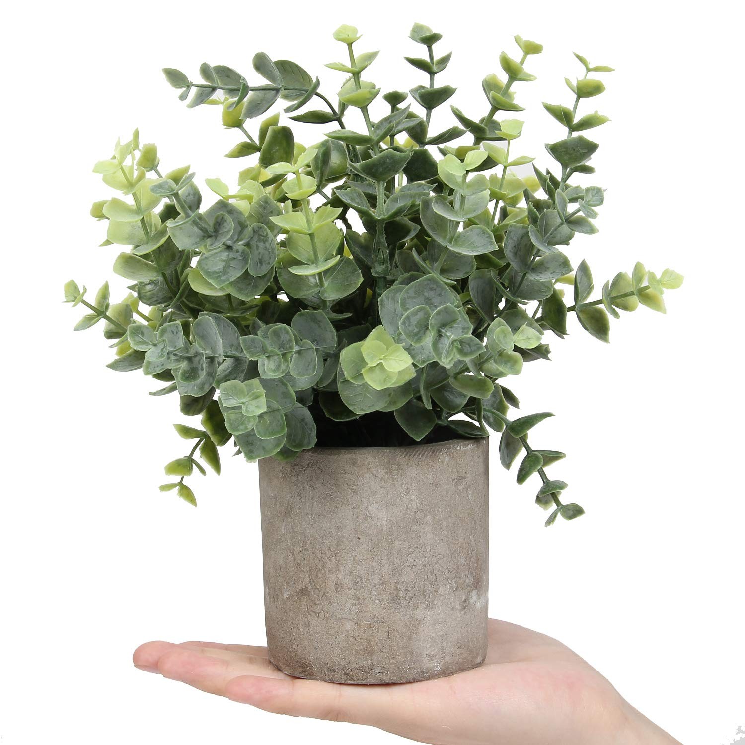 Mini Potted Plants Artificial Eucalyptus Boxwood Rosemary Faux Herbs Small Ho…