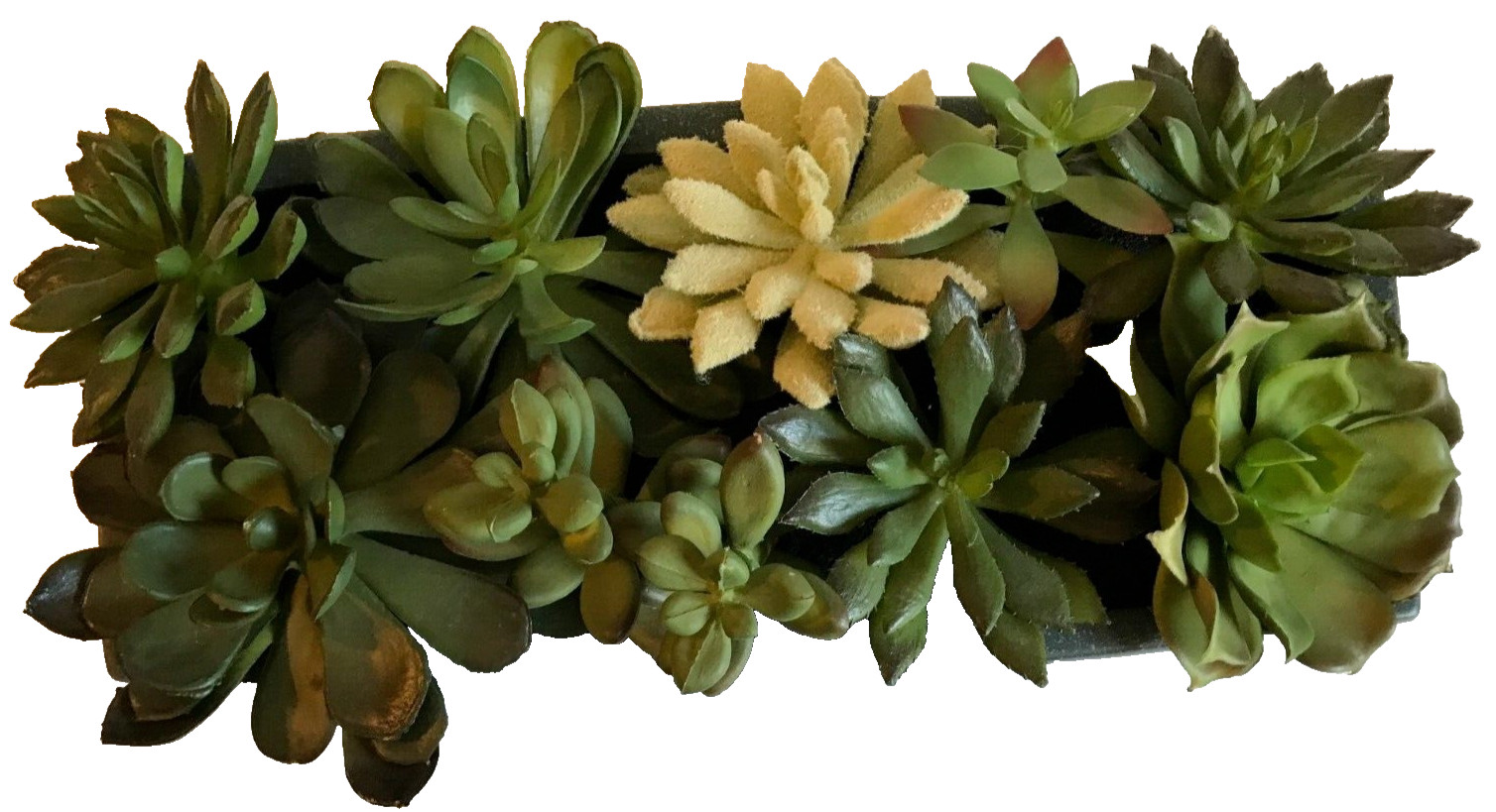 CRATE & BARREL ~ FAUX SUCCULENT ARRANGEMENT IN GRAY CERAMIC PLANTER ~ 12″x5″x3″
