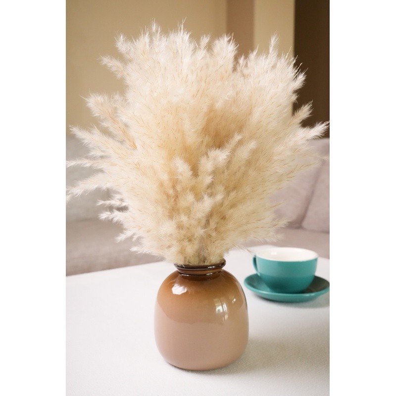 Dried Pampas Grass Arrangement in Brown Ceramic Vase Natural Home Office Decor