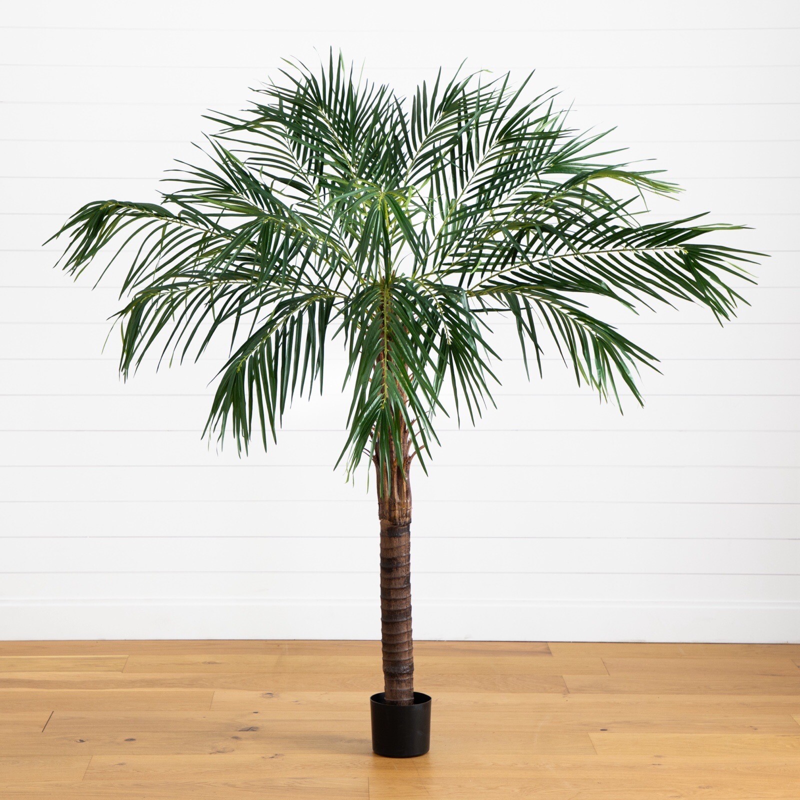 6′ Artificial Robellini Tropical Palm Tree Home Decor. Retail $279