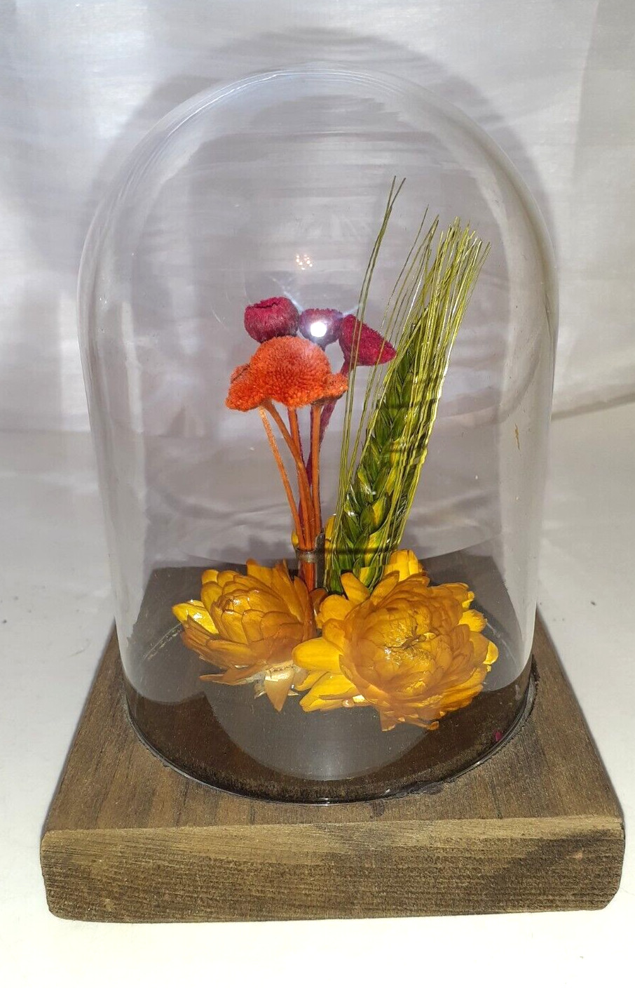 Leonard Creations Dried Cloched Flower Bouquet On Wood Base
