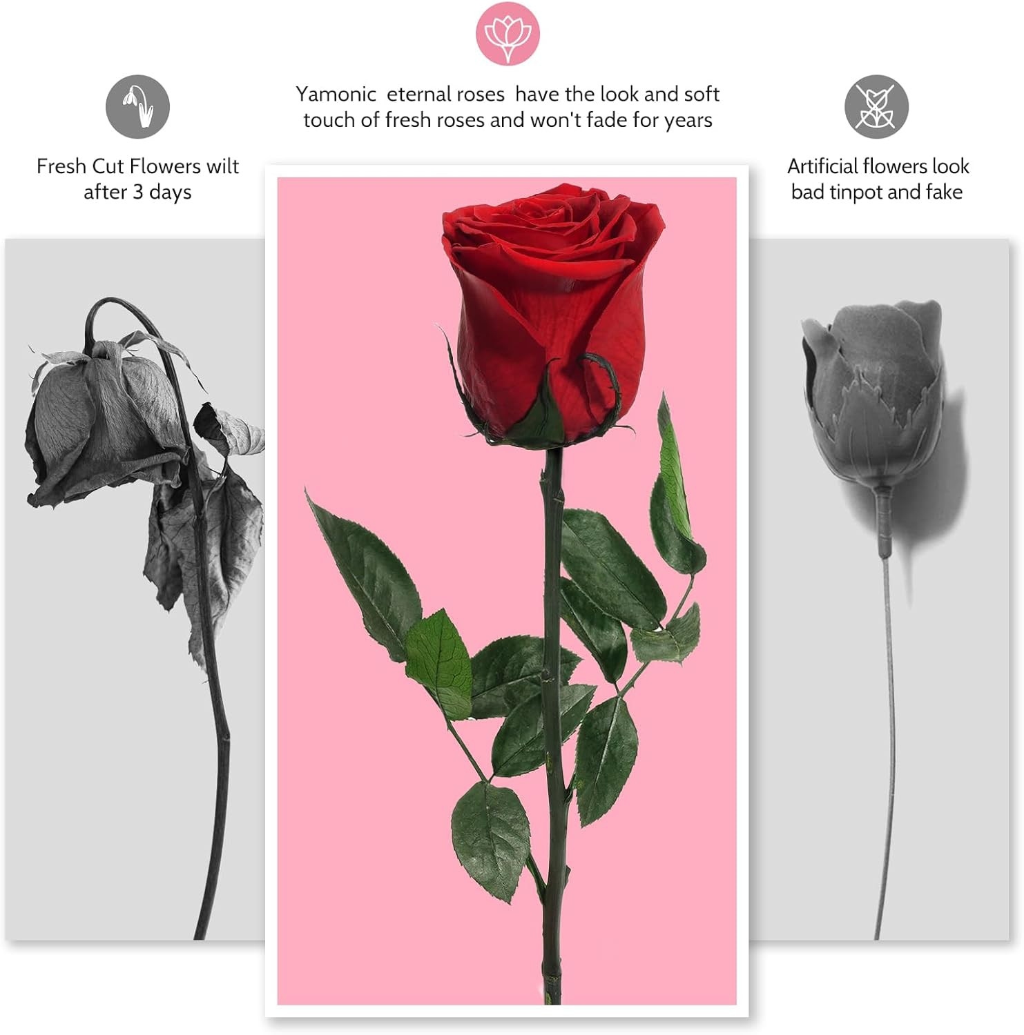 Yamonic Preserved Flowers Rose Gifts for Women Mom, Mothers Day Rose Flower Gift