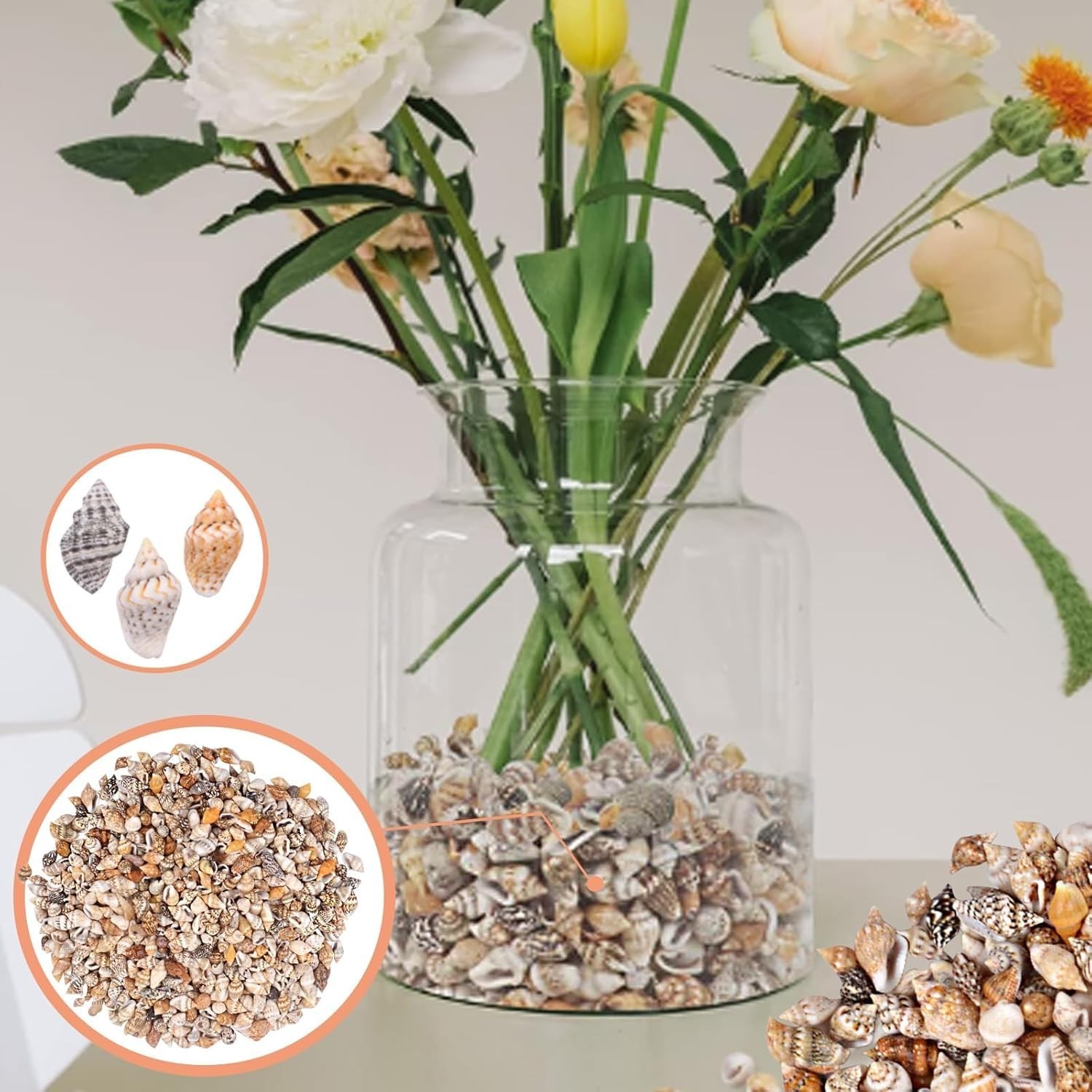 About 1000pcs Small Natural Sea Shells 1-2cm, Mixed Tiny Spiral Conch Shells Bul