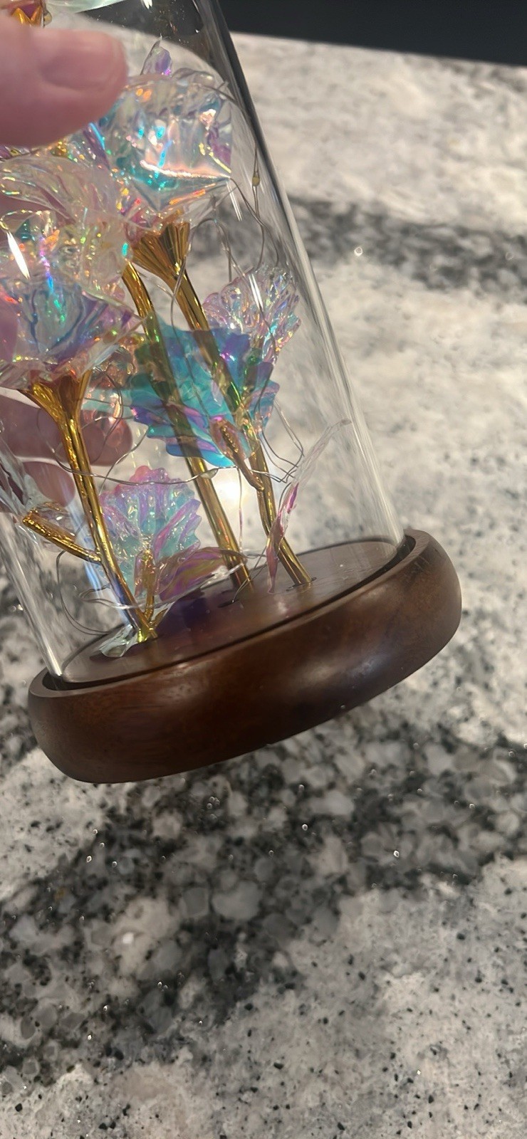Eternal Rose, Glass Dome Galaxy Rose Light- Lamp Or Nightlight – Flower Decor