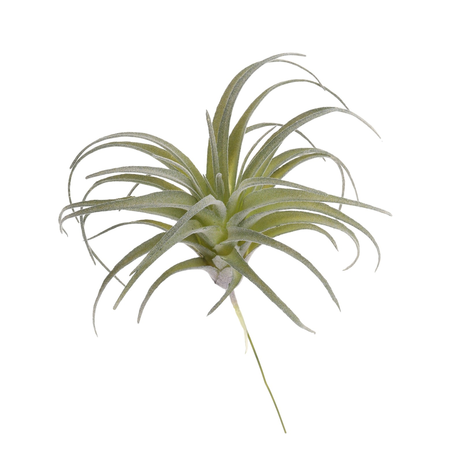 1Pcs Artificial Succulent Plants Fake Pineapple Grass 5″, Light Green