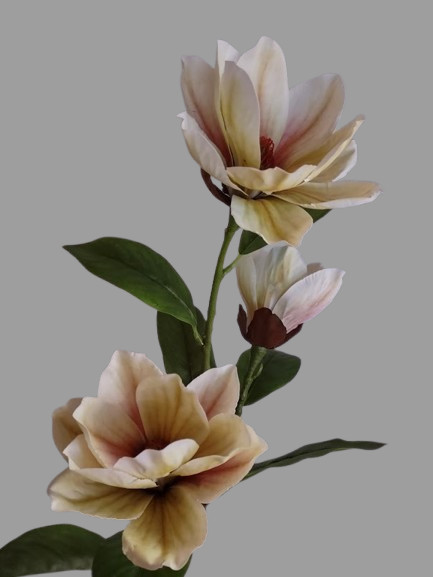 Magnolia stem bush CREAM with Green highlights