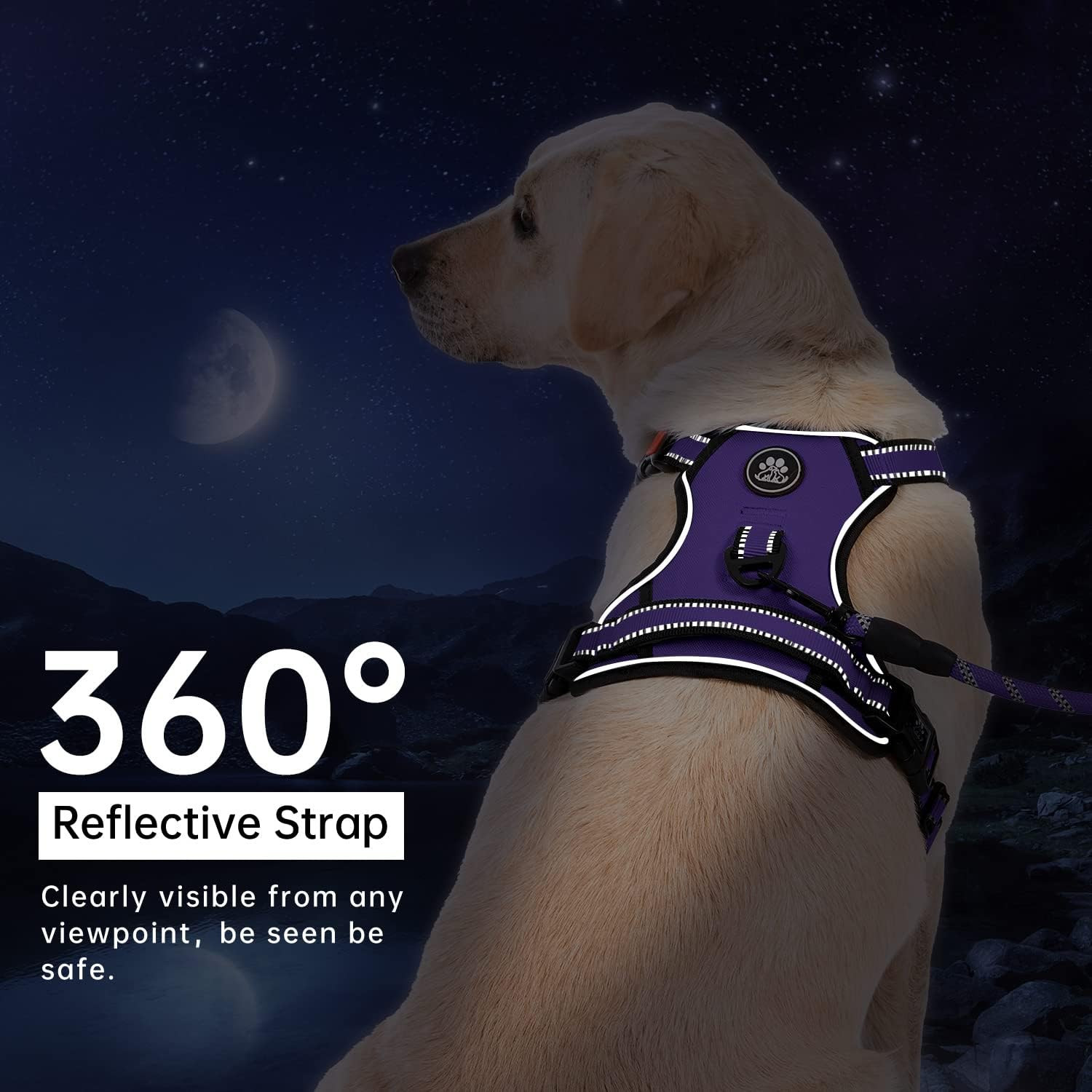 No Pull Dog Harness for Medium Dogs, Dog Vest Harness with Leash, Safety Belt an