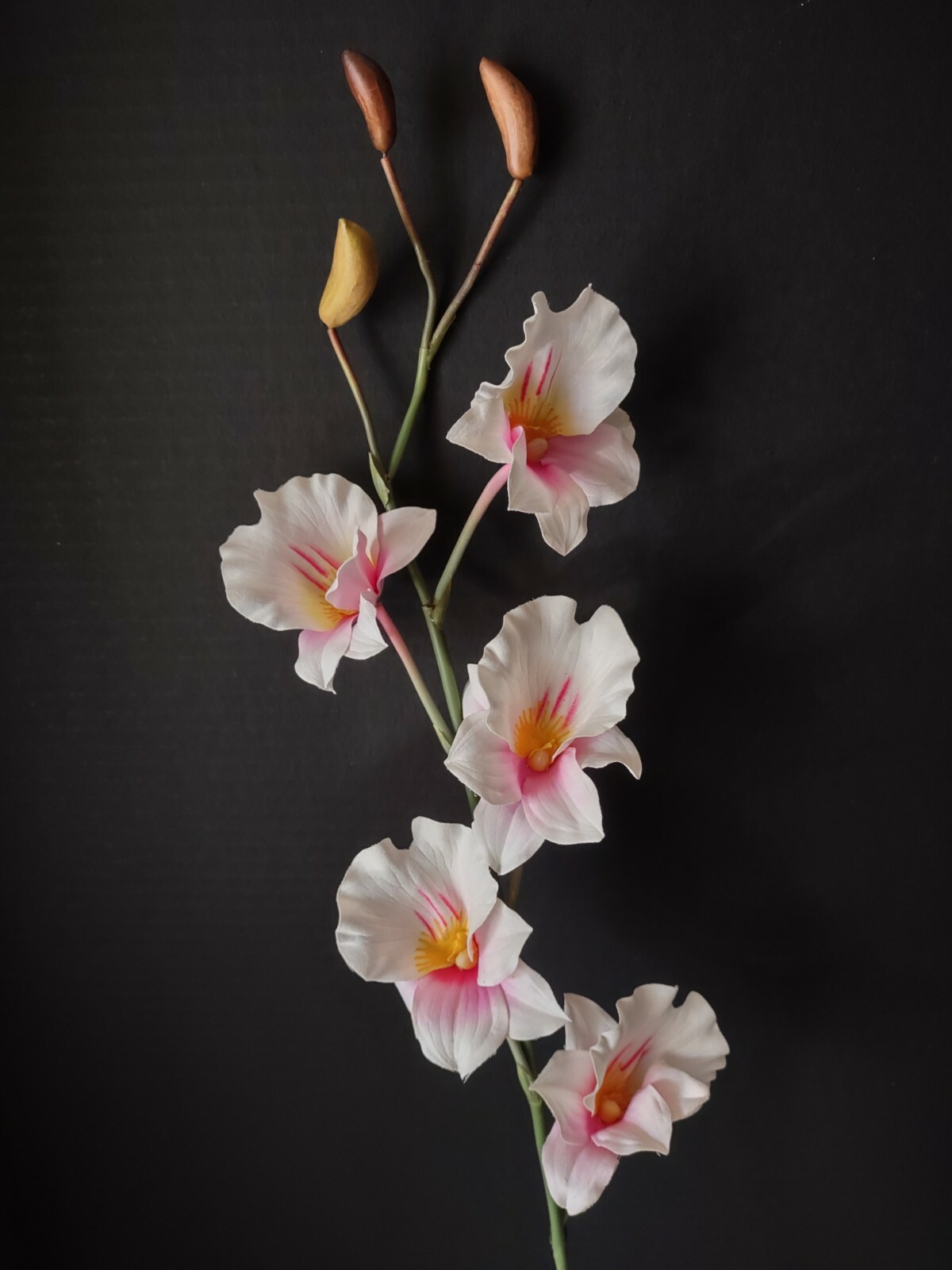 Artificial miltoniopsis orchid stem CREAM and PINK BLUSH