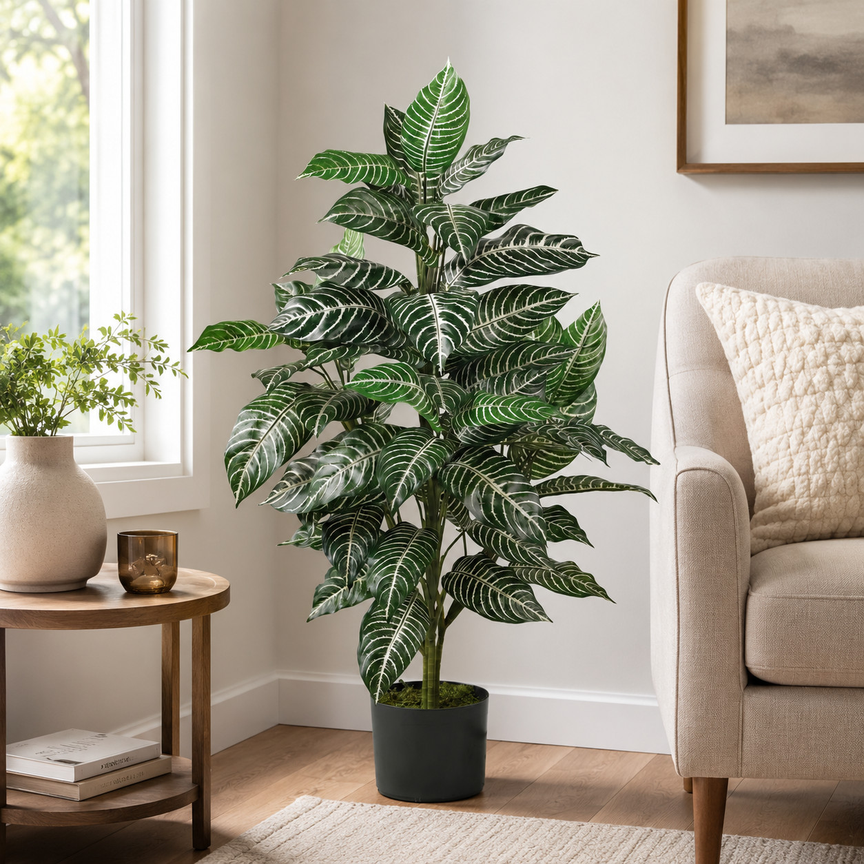 3′ Zebra Silk Plant