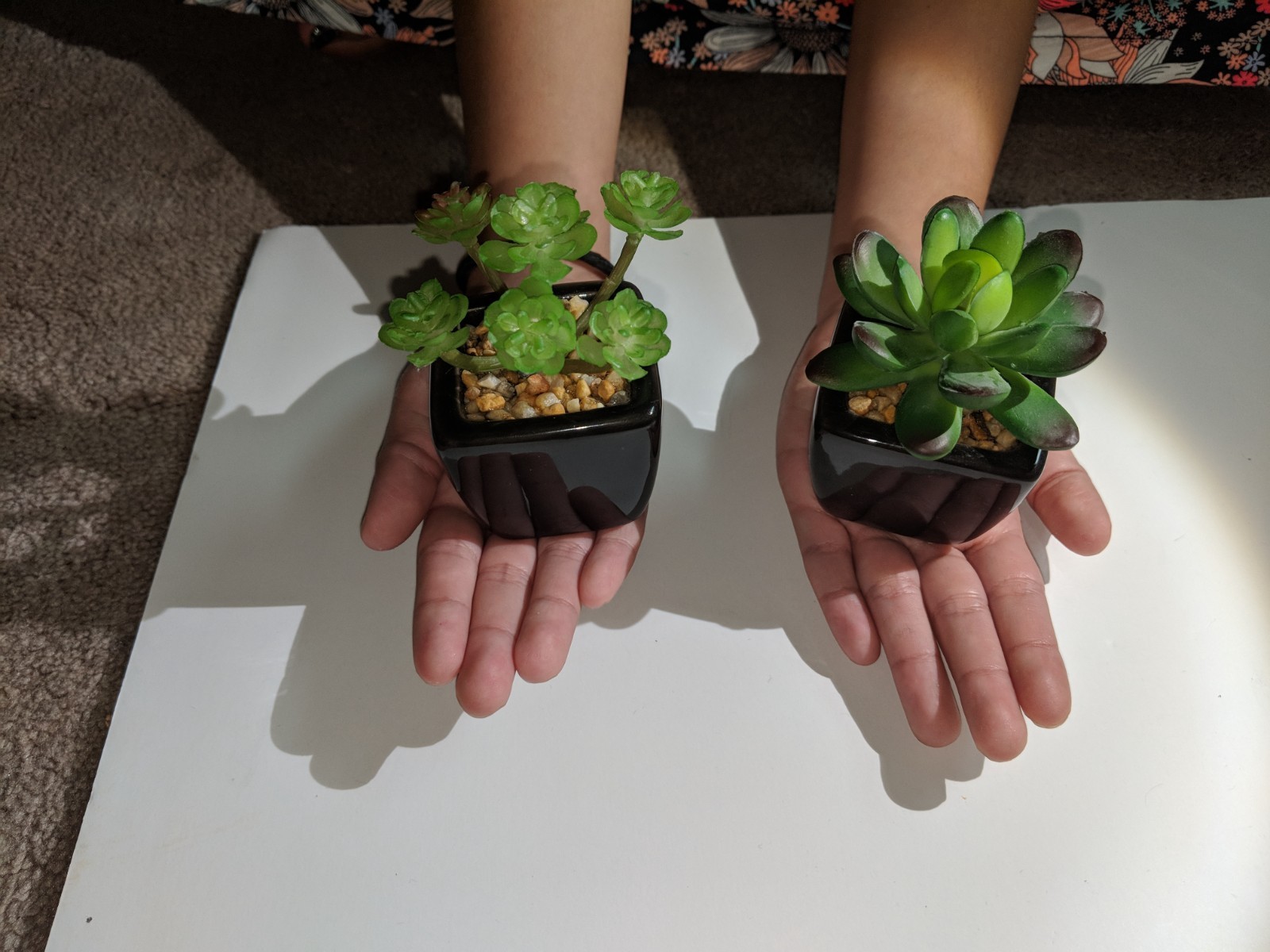 Small Artificial Succulents Black Ceramic Pots 4 PCS