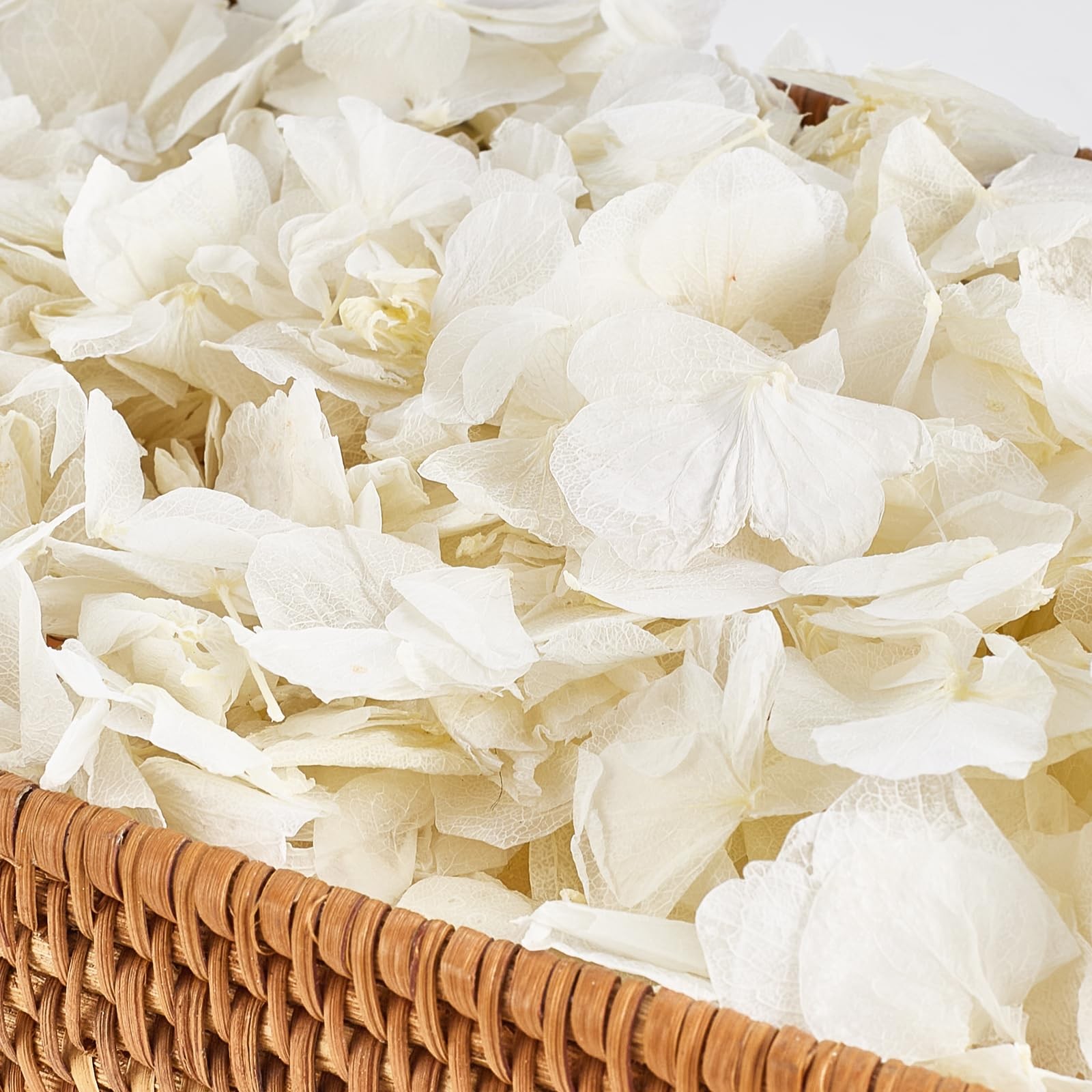 1500Pcs Real Dried Ivory White Hydrangea Petals for Wedding Petal Showers Rom…
