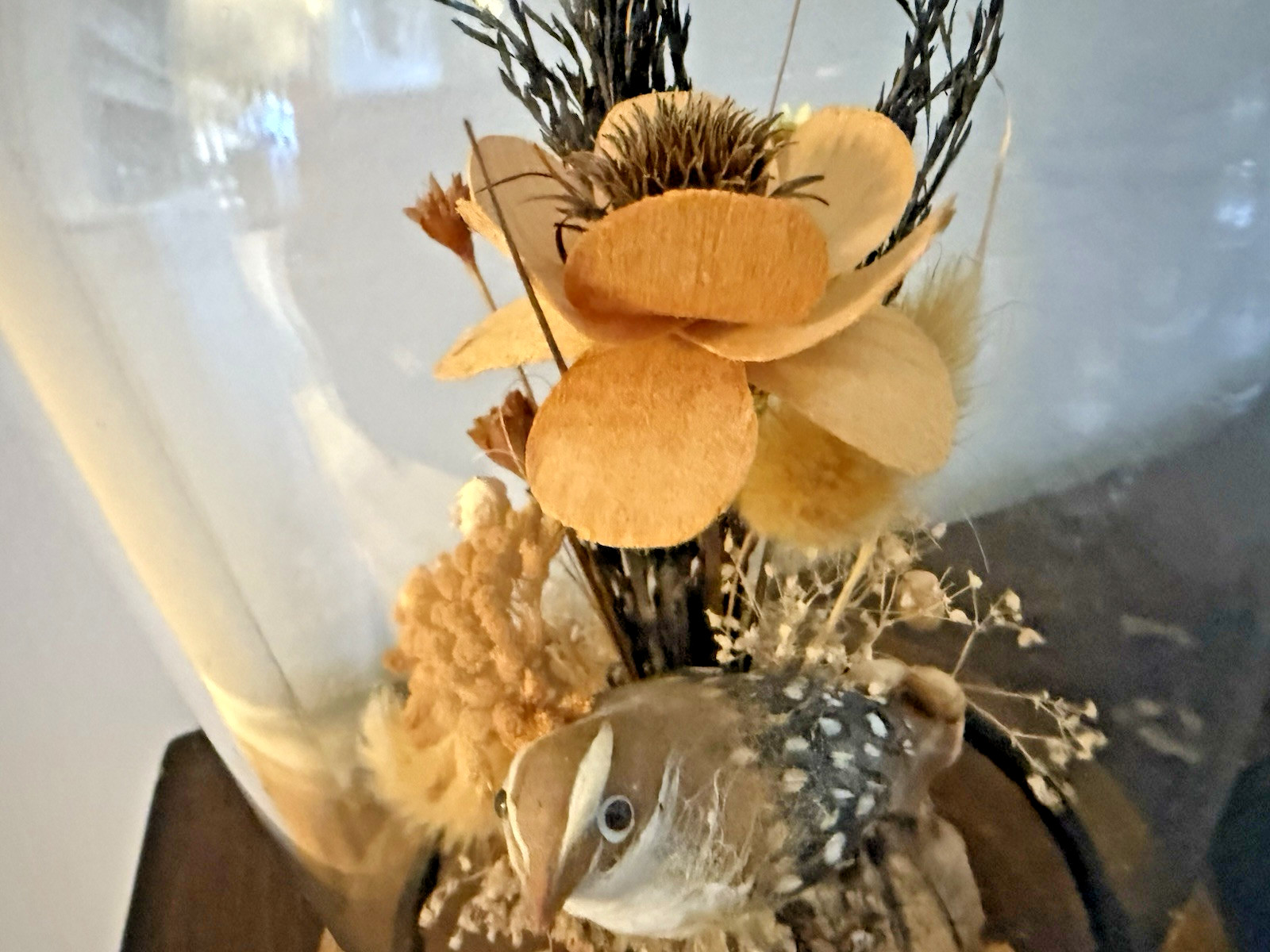 Vintage Hand Made Dried Floral & Bird Diorama / Terrarium Glass Dome Display