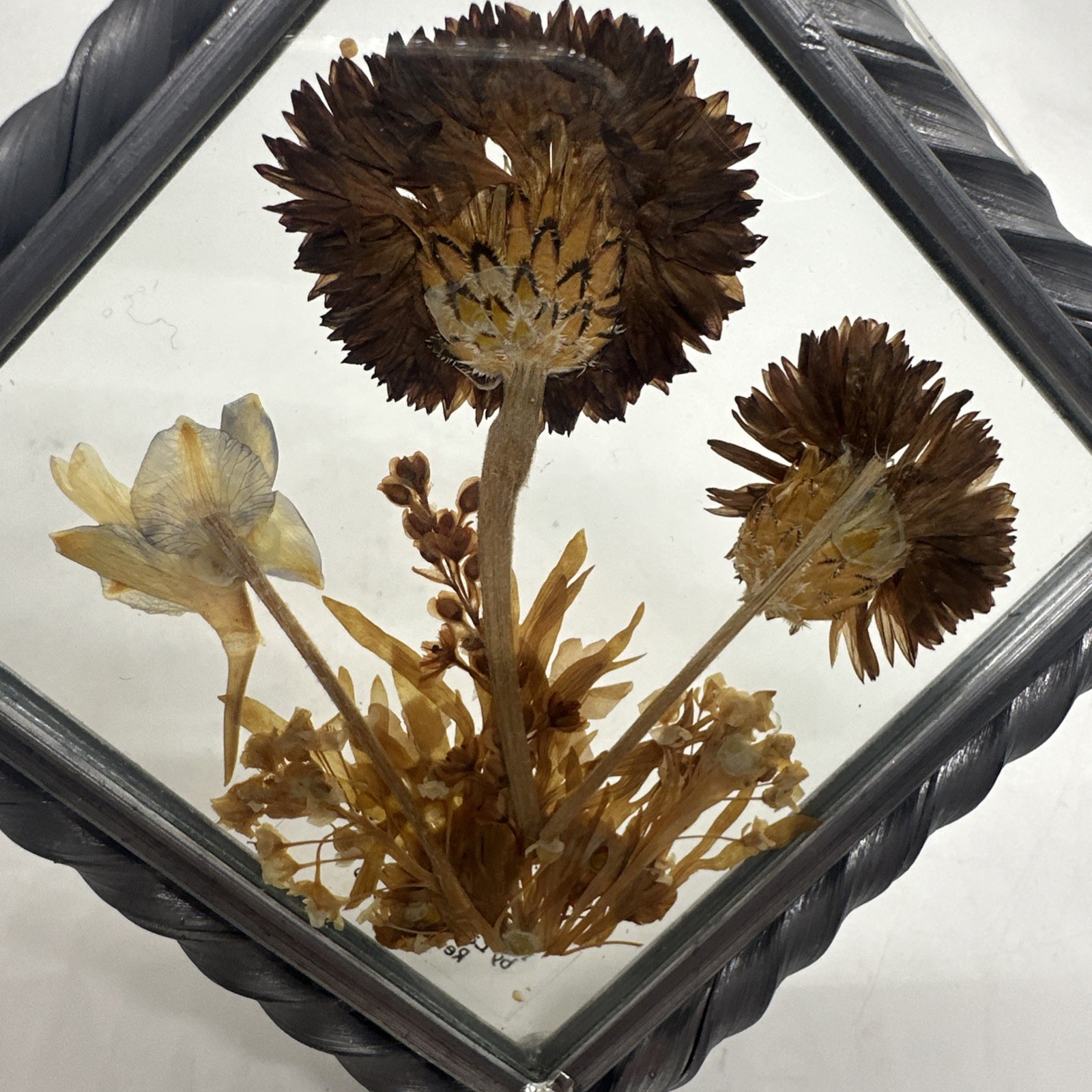 Dried Pressed Flowers Framed Glass Vintage Hanging Decor Lasting Impressions USA