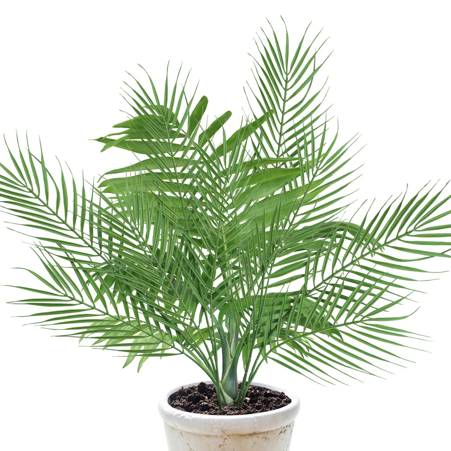 27″ Artificial Palm Leaves, 6 Pcs Large Faux Tropical Greenery | 18 branches for
