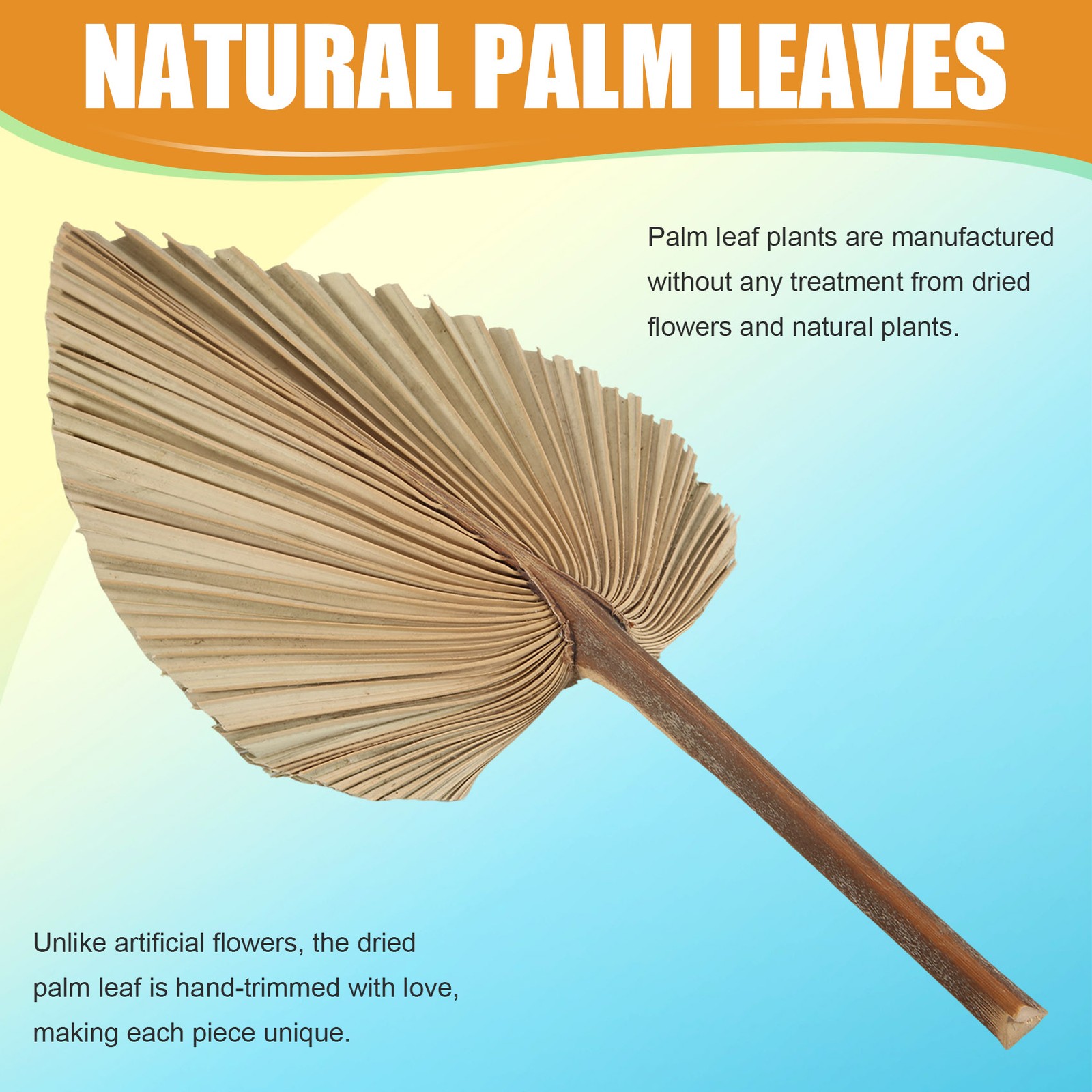 5Pcs Natural Dried Palm Leaves Tropical Dried Palm Fans Boho Dry Leaves4707