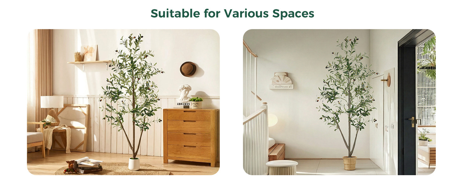 Olive Trees Artificial Indoor, 5FT Tall Faux Olive Tree with Moss and Planter,