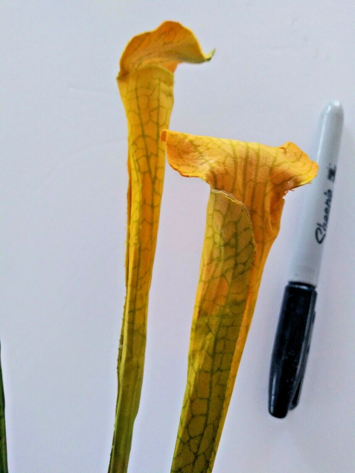 21″ Mini Yellow Pitcher Plant Stems. Silk Flower Floral Arrangements.