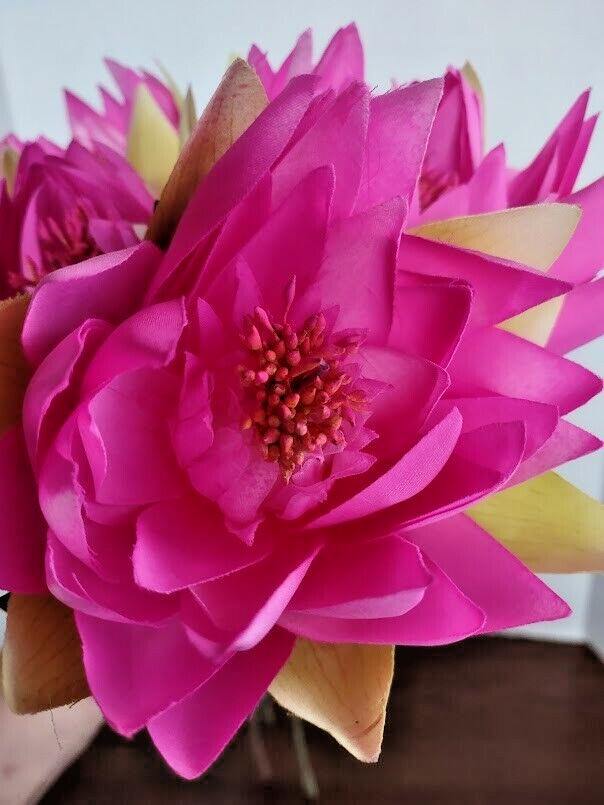 Artificial lotus blossom flower Stems (Six Stems) Fuchsia