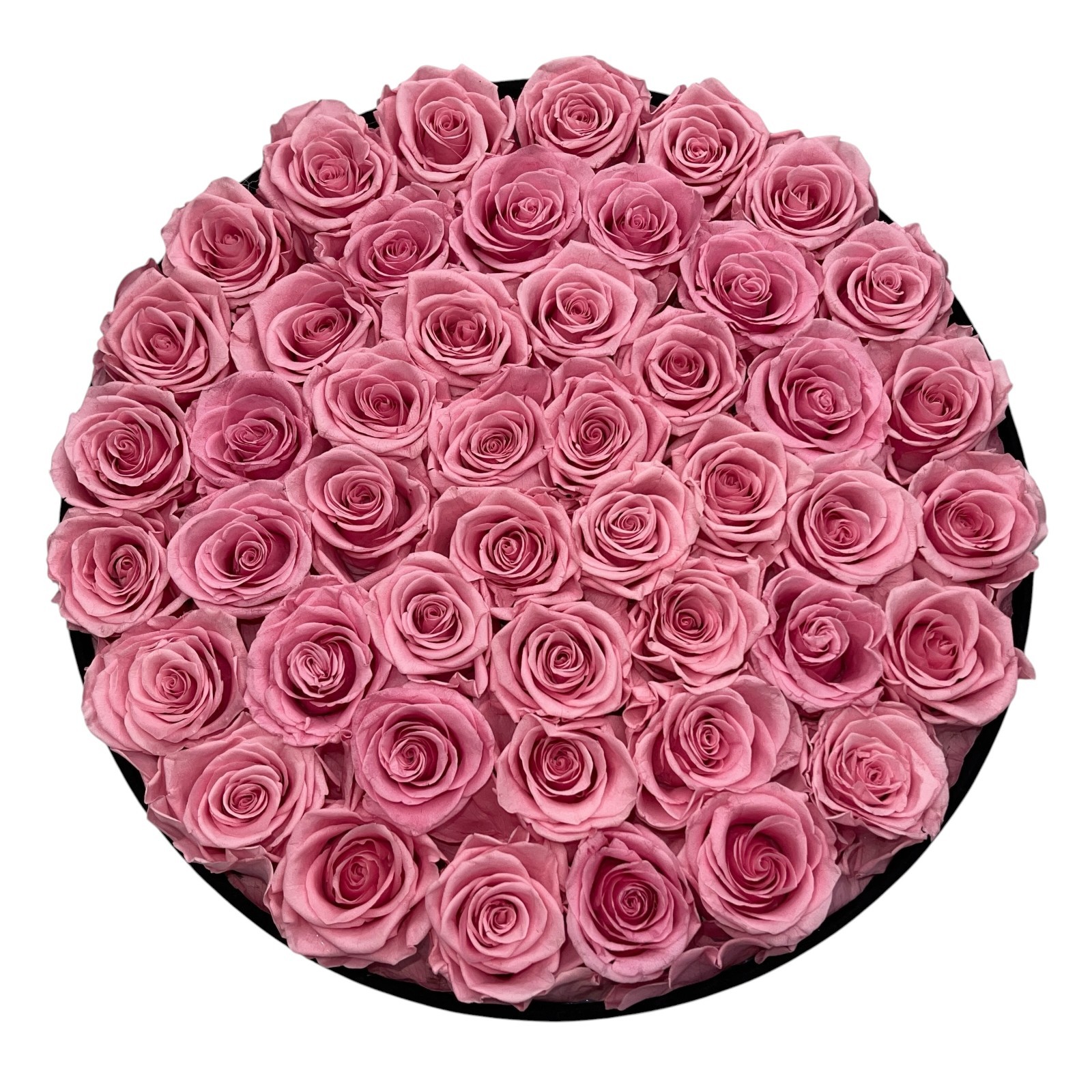 Preserved Roses 47 Pink Luxury Forever Eternal Flowers Graduation Gift Prifroti