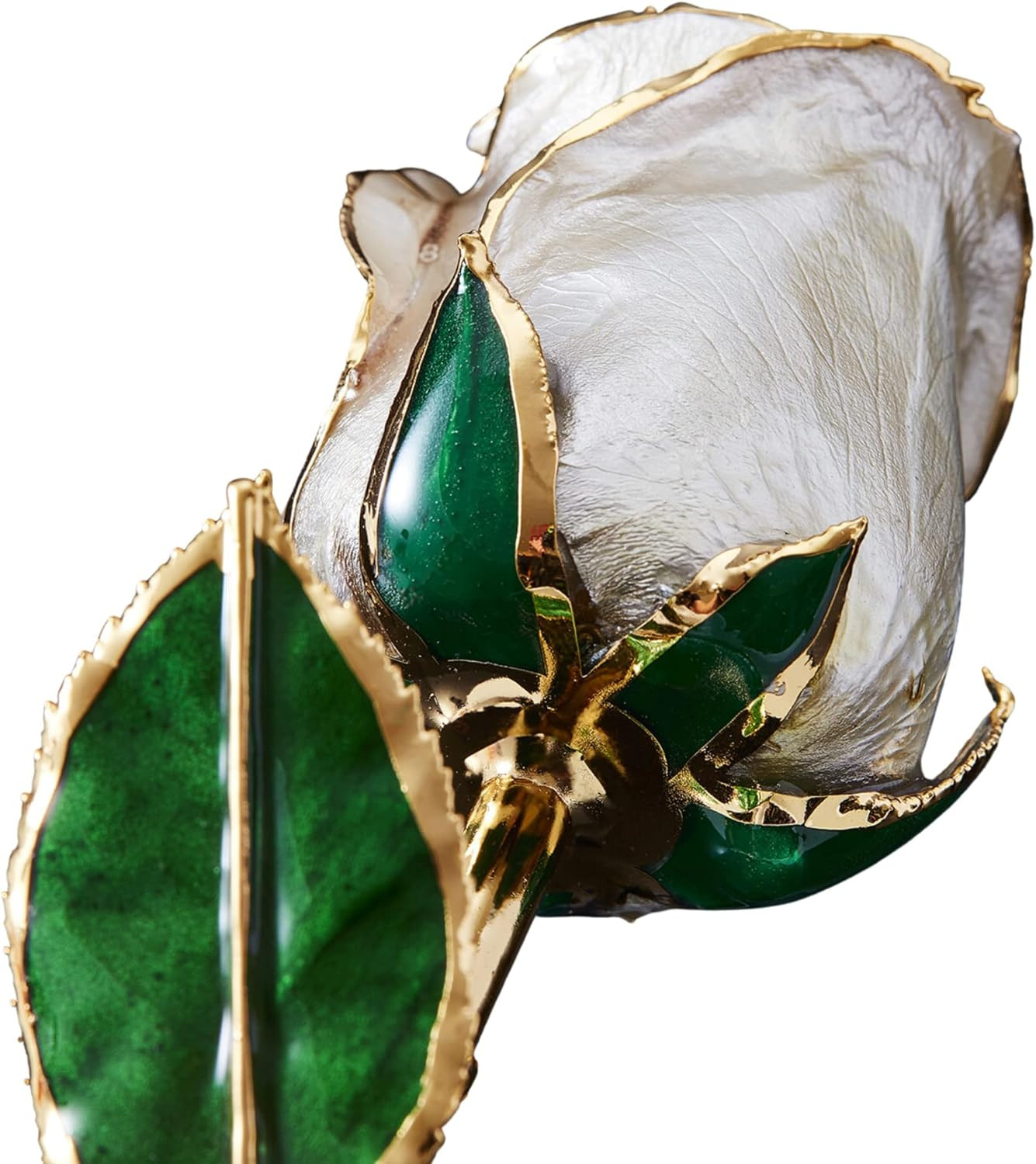 24K Gold Dipped Rose – Pearl Collection Gift for Her (Angel Dust)