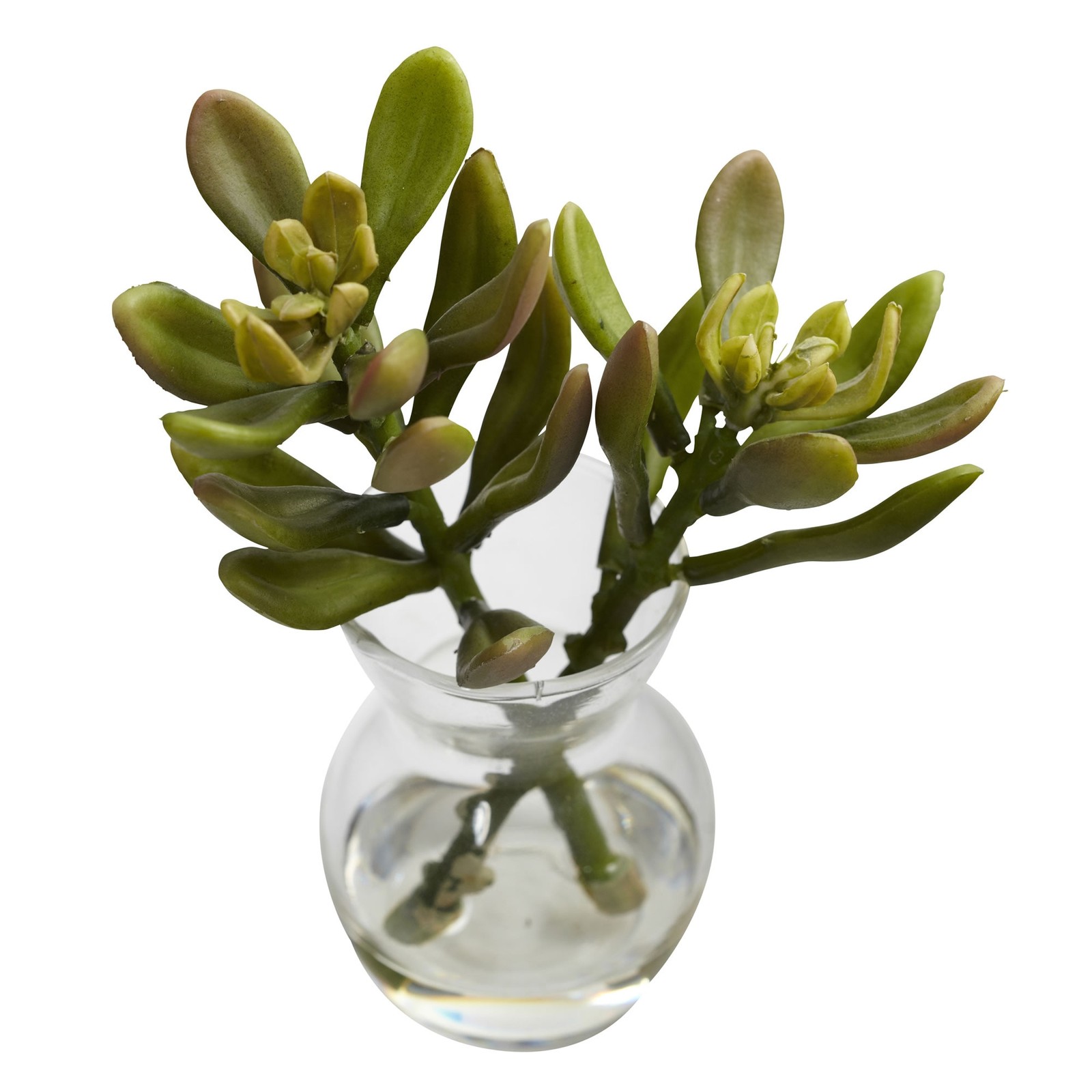 5.5 Inch Succulent Arrangements Set of 3 Faux Plants in Mini Vases with Liquid