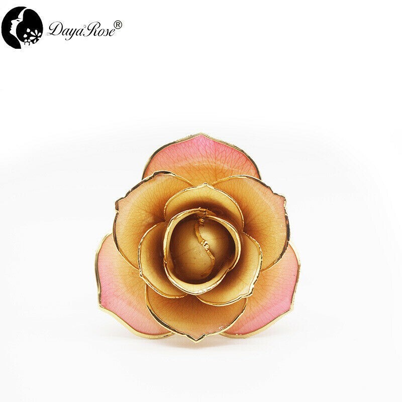 Daya- Forever real preserve rose dipped in gold 24k (Cream/Pink)