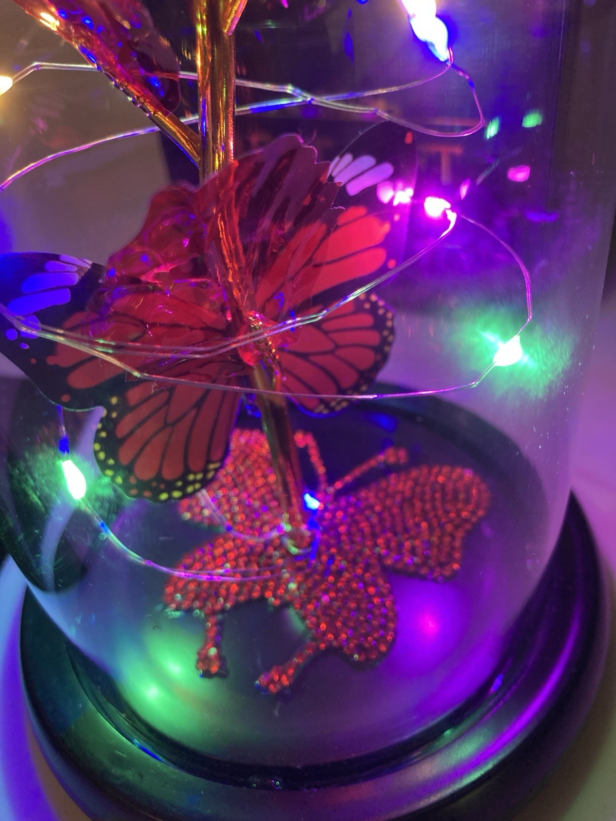 Lighted Flower & Butterfly Display Best Gift For You LED Glass Dome Red Rose New