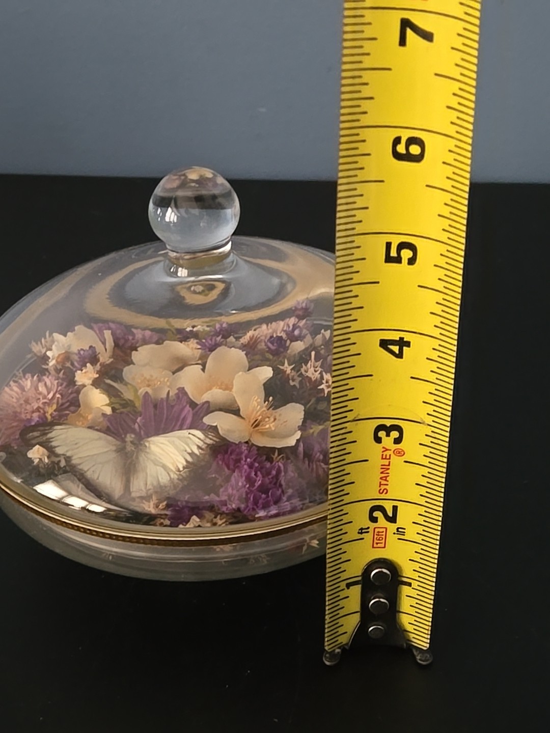 Vintge Apothecary Round Dome Dish Display w Lid Terrarium Floral Dried Flowers