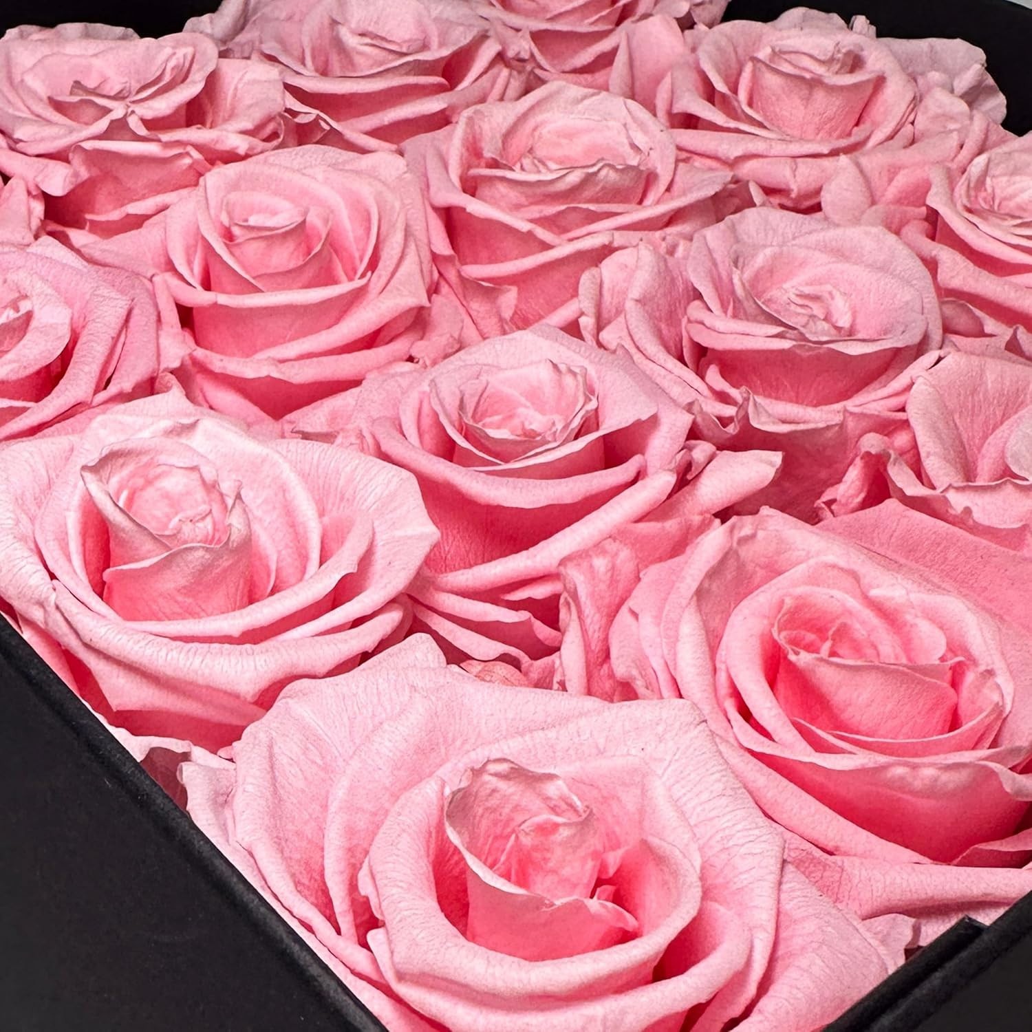 Premium Real Preserved Roses 16 PCS 100% Real Pink Roses Lasting Up to 3 Years