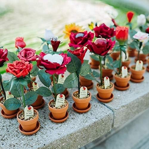 Steel Anniversary Rose – Terra Cotta Pot