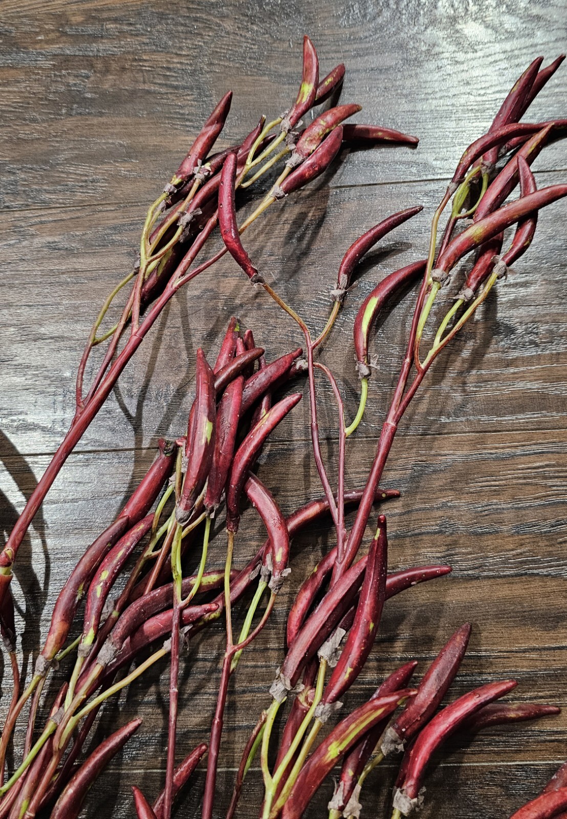 Lot 4 Artificial Bean Pod Branch Fake Plant Home Decoration Photography Props
