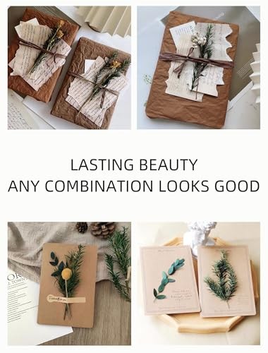 12 Kind Dried Flowers Set Natural Floral Bouquet for DIY Crafts Wedding Home Dec