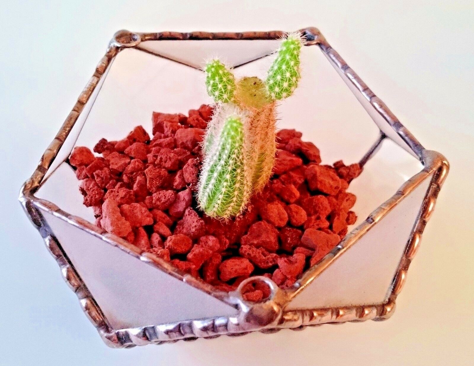 Stained Glass Dodecahedron Terrarium With 3 hooks with Copper Frame, Home Decor