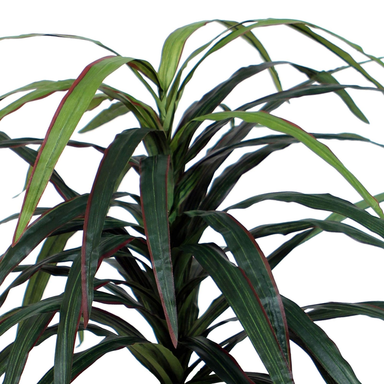 Vickerman 6.5′ Artificial Marginata Deluxe Tree with Black Plastic Pot in Green