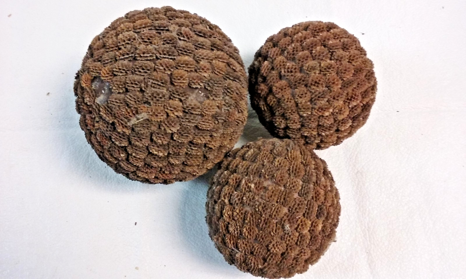 3 Brown Seed Pod Mosaic Decorative Ball Ornaments 5″ to 6″ & 4″ to 5″ wide