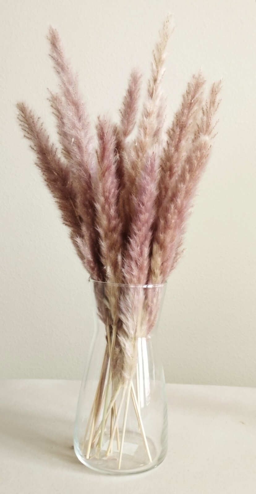 Tall Boho Natural Dried Pampas Grass Bouquet Total 75 Pcs. Decor Wedding Party