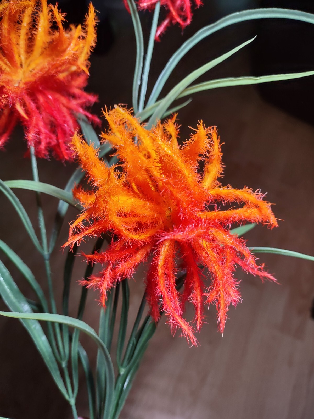 Wildflower tropical floral stem. Hawaiian Flowers. Tropical Flowers