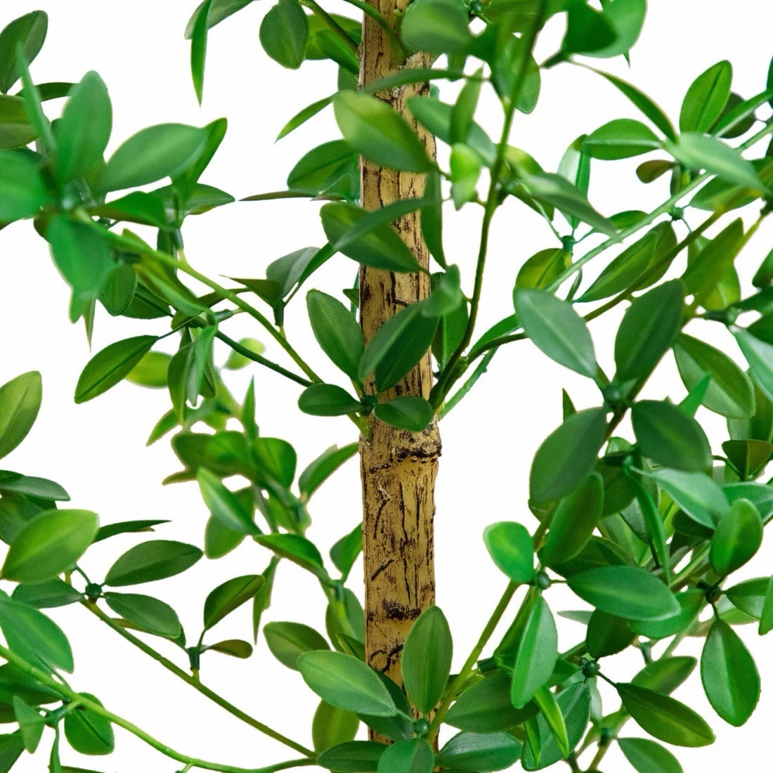4′ Artificial Shady Lady Black Olive Tree