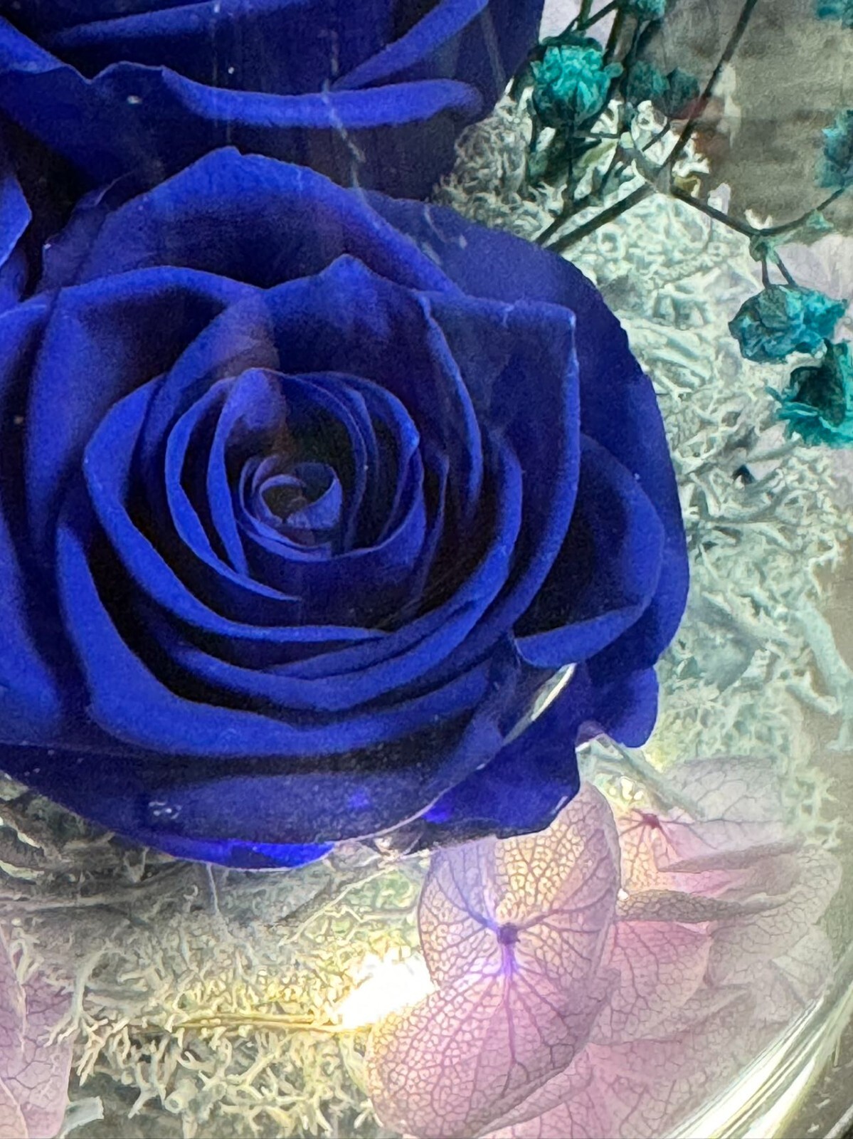 Mothers Day Mom Gift for her, Preserved Real Flower Rose in Large Glass Angel…